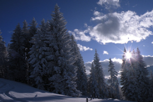 Winterwanderwege